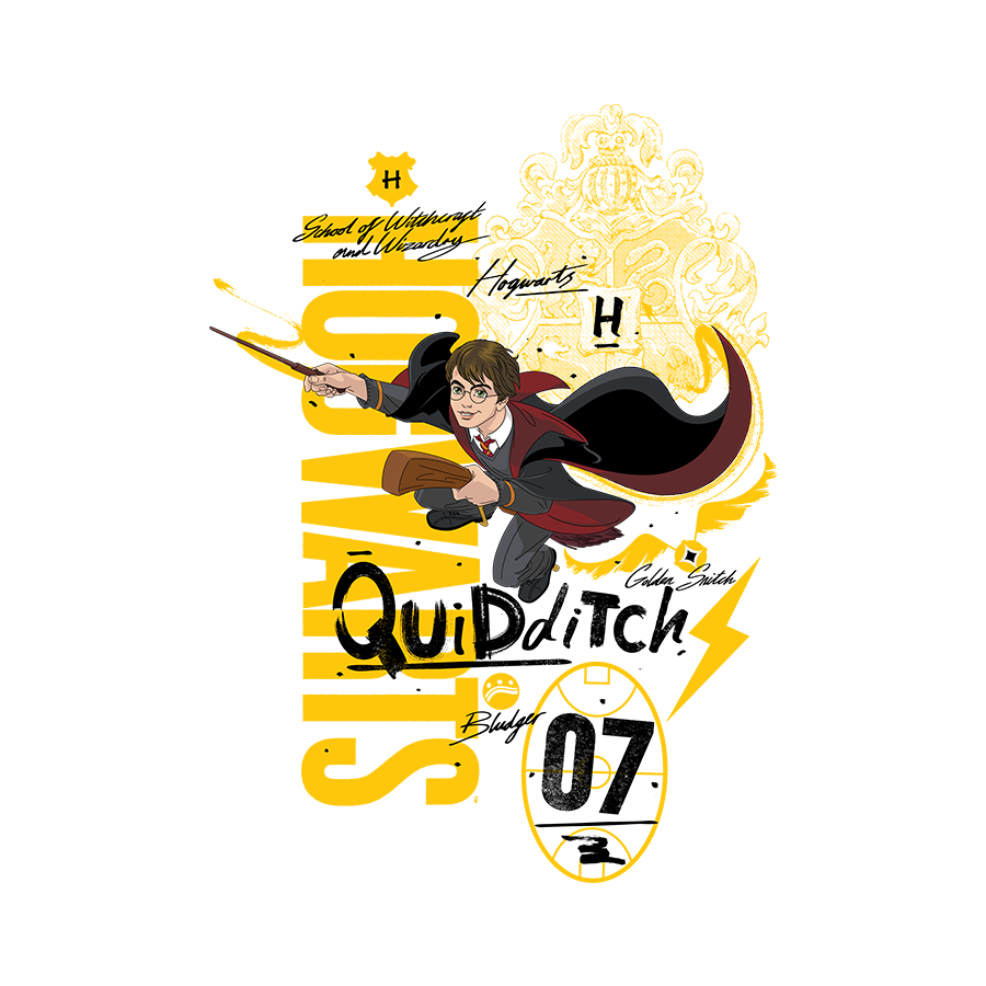 Official Harry Potter - Quidditch Unisex Oversized T-shirt