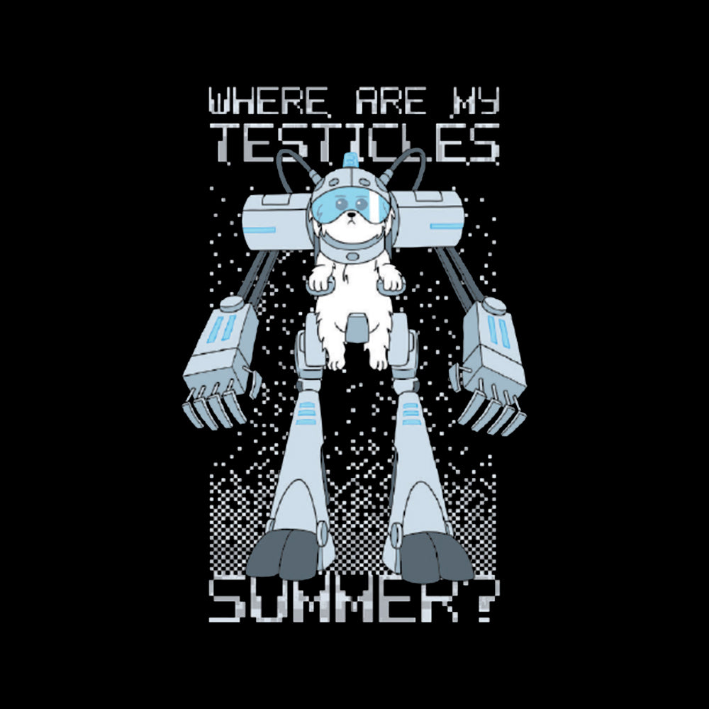Official Rick & Morty - Where Are My Testicles Oversize T-shirt